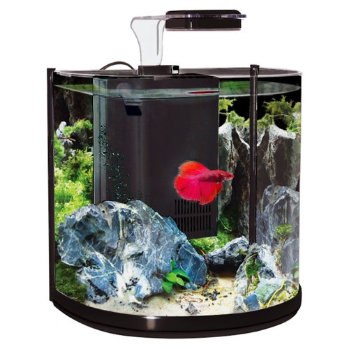 Aqua one betta tank - aqua,