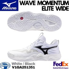 Mizuno Volleyball Shoes WAVE