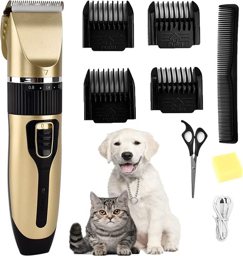 Professional pet dog - professional,