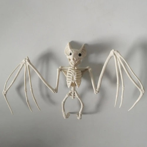 Halloween animal - halloween,