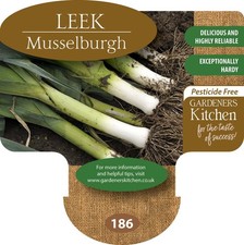 Leek Plants 'Musselburgh' 6 X