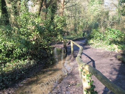 Photo 6x4 the river - photo,