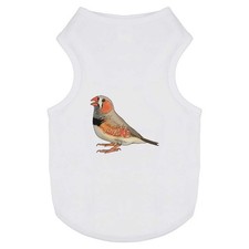 'Zebra Finch' Pet Dog / Cat