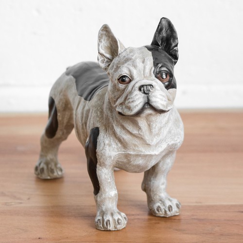 Standing french bulldog - standing,