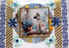 Belgian shepherd malinois - belgian,