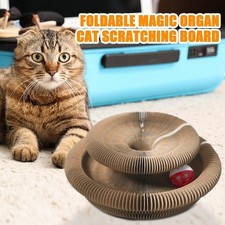 Kitty Cat Toy Play Cat