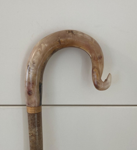 Rams horn crook on hazel - horn,