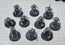Warhammer 40k Necron Flayed