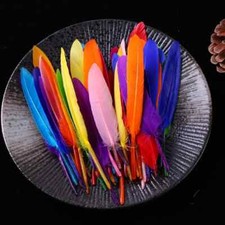 50Pcs Duck Feathers 10-15cm
