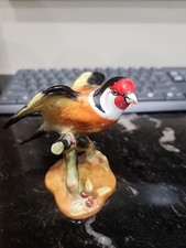 Royal Adderley Crown