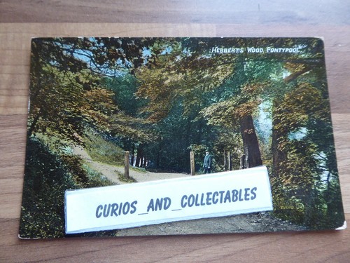 Herberts wood pontypool - herberts,