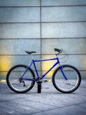 Dawes 90s Saratoga Cruiser Bike