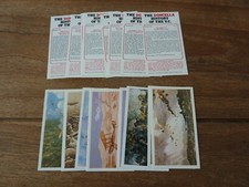 The Doncella History Of The V.C. - Players Cards from 1980 - VGC Pick Your Cards
