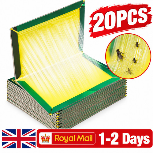 Pack pest trap boards - pack,
