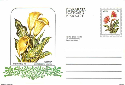 Postcard south africa - -,