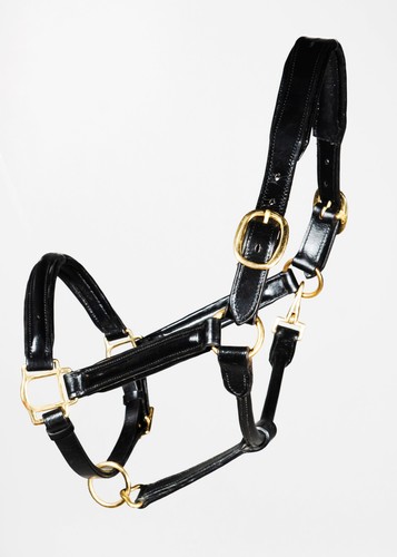 Leather horse halter - leather,