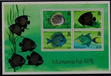 Montserrat Fish M/Sheet. 1978. Butterfly/Angelfish/Blue Tang/Triggerfish. #806