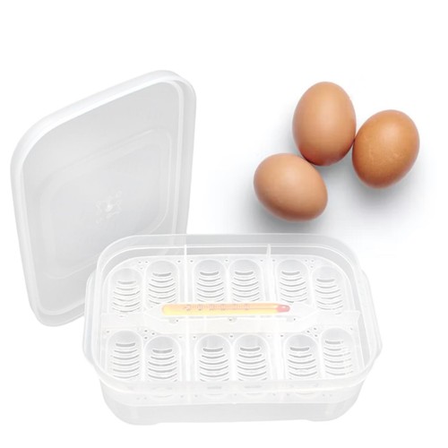 Plastic reptile egg - plastic,