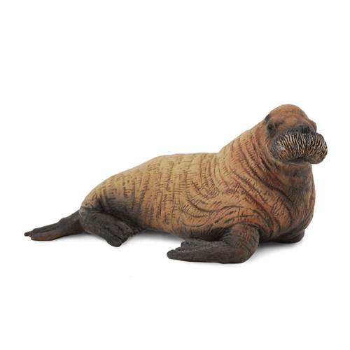 Collecta walrus calf - collecta,