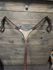 WESTERN SILVER WITH GOLD SHOW