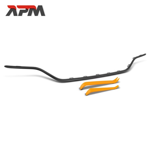 Decorative trim bumper - decorative, rear