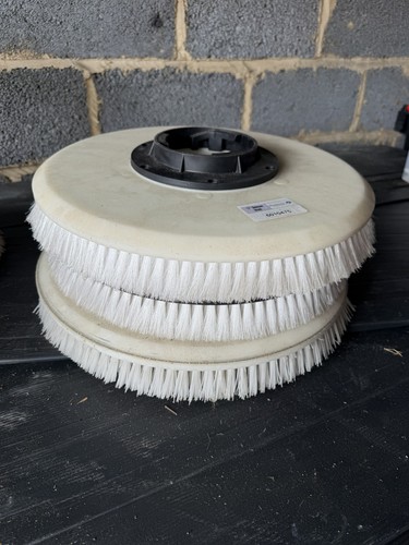 Taski hard bristle scrubbing - hard,