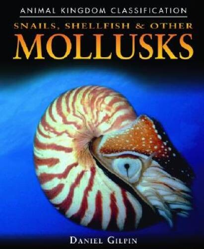 Snails shellfish and other - snails,, shellfish,