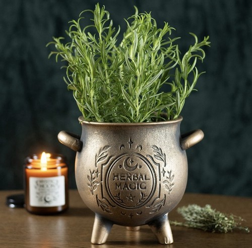 Witchy herbal magic - magic, terracotta