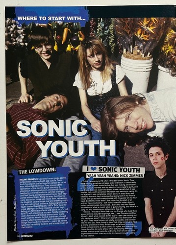 Sonic youth 2005 full page - youth,