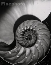 1945/92 Vintage HORST Nautilus