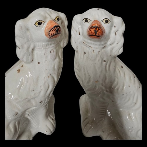 Large pair victorian - of,