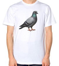 Pigeon shirt - pigeon, t-shirt