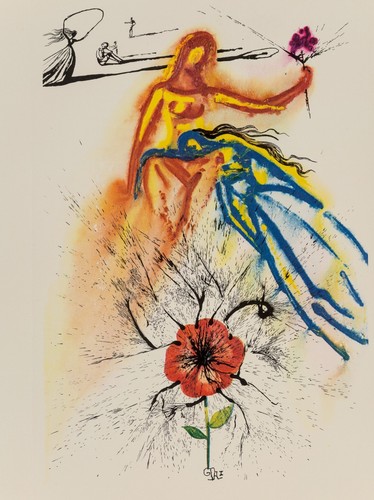 Salvador dali - dali, (1904-1989)