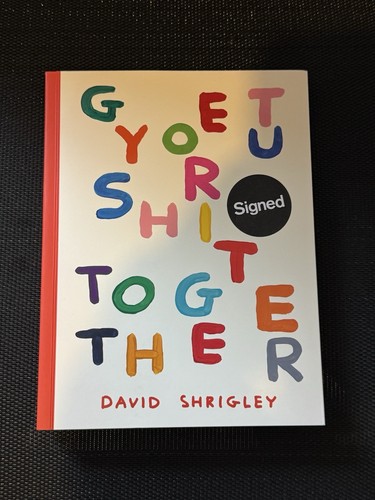 Artist david shrigley - artist,