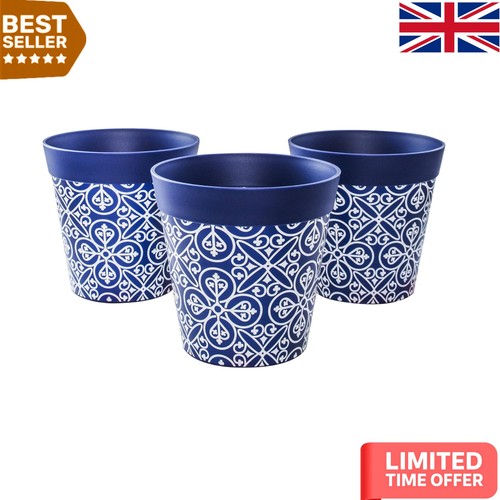 Durable blue maroc plant - maroc,