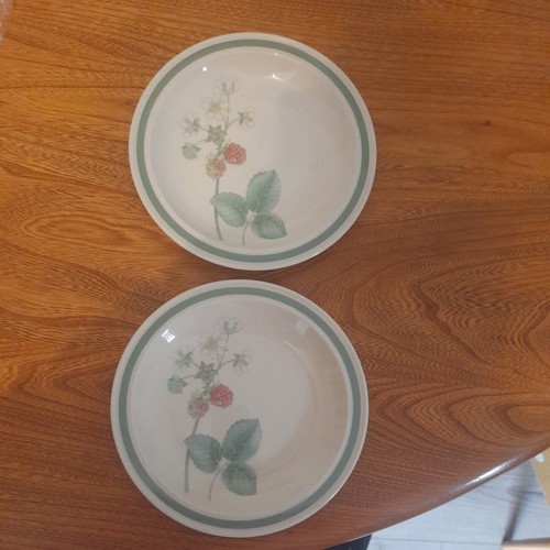 Wedgwood raspberry cane - raspberry, side