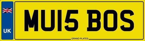 Boss number plate - is,