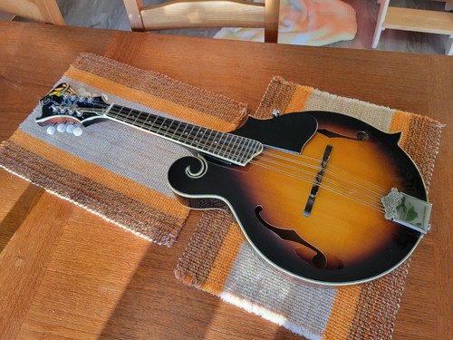 Samick mf1vs mandolin - mf1vs, in