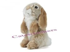 Sitting Brown Lop Eared Rabbit