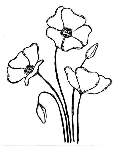 Emily poppies unmounted - poppies,