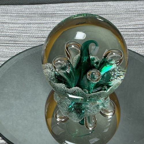 Caithness miniature moonflower