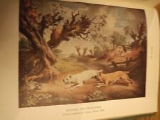 Vintage 1946 Hunting Game book Naturists Int by Brian V Fitzgerald Stunning Pics