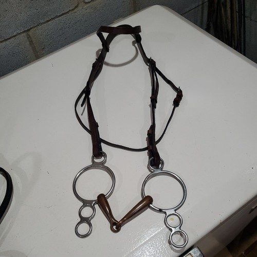 English brown leather bridle