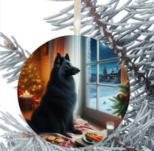 Belgian Shepherd Dog Hanging