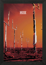 Muse Album Cover Framed Wall