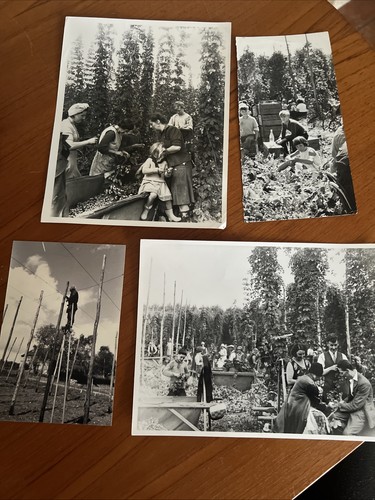 Collection vintage hop - vintage, picking