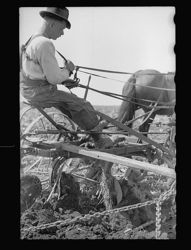 Grundy county iowa 1940 - county, farmer