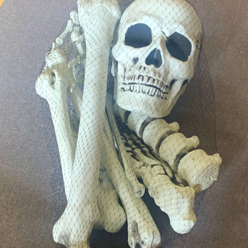 Halloween plastic skeleton - halloween,