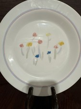 Vintage ARCOPAL Plate Glass