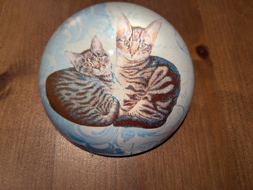 Cats glass paperweight - glass,